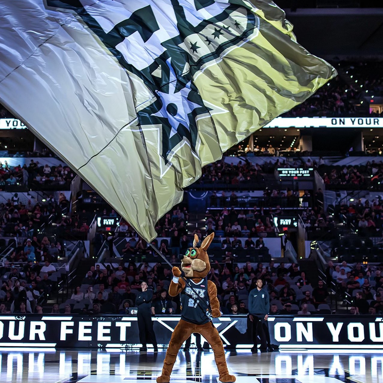 如果你希望 如果你希望